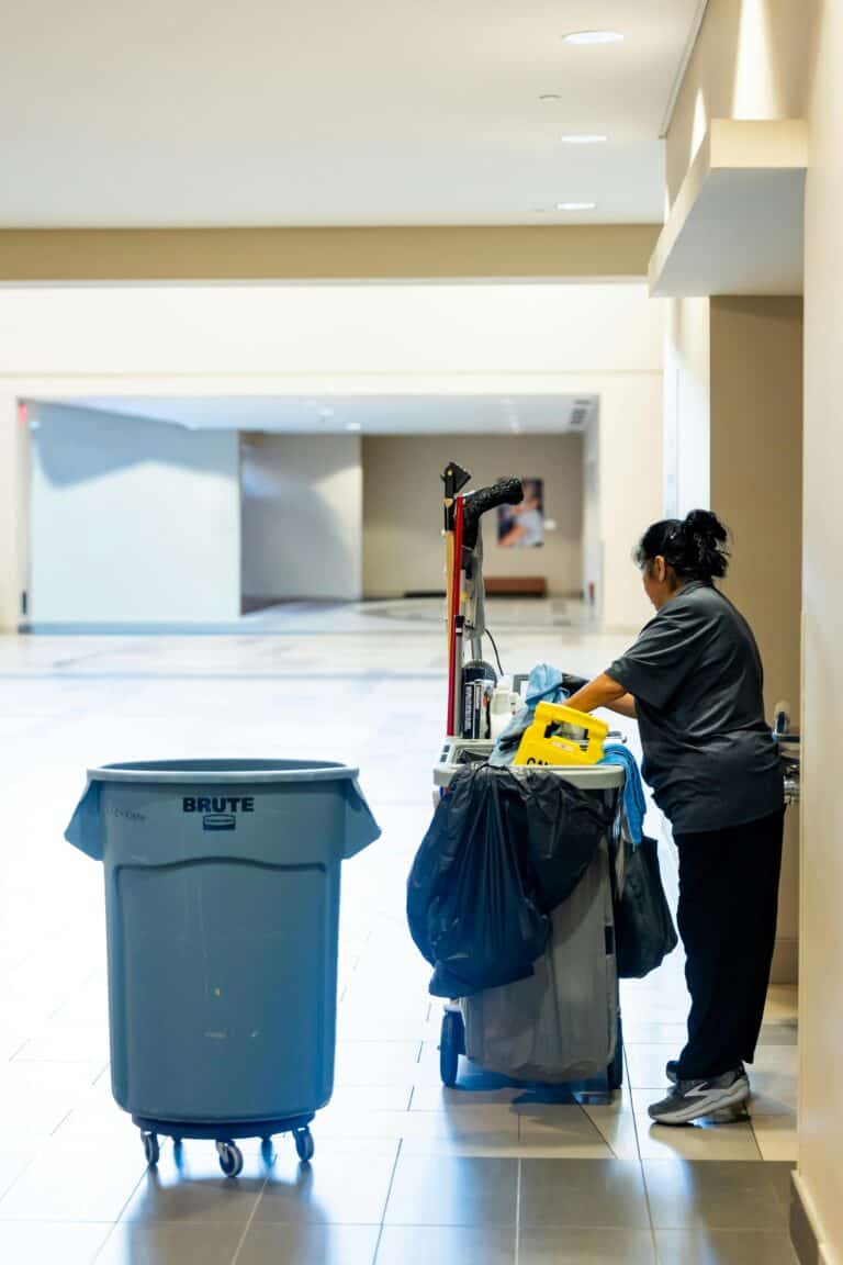 cleaner3